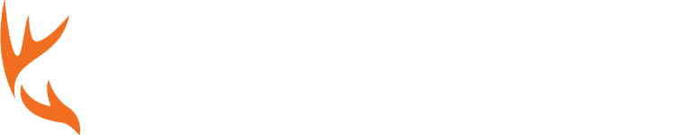 HuntWise Logo